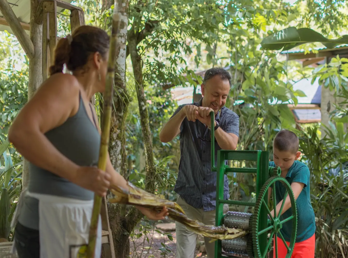 Sloths Watching + Costa Rican Farm Experience+ Ecotermales Hot Springs