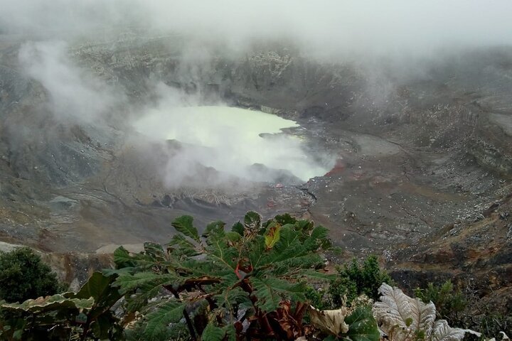 Poás Volcano Waterfalls and Coffee Tour from San José